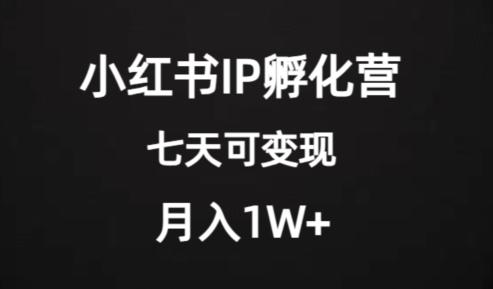 价值2000+的小红书IP孵化营项目，超级大蓝海，七天即可开始变现，稳定月入1W+-kk网创