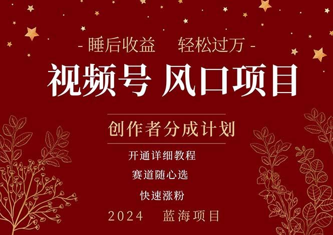 拥有睡眠收益的微信视频号大风口项目，轻松月入过万+，多赛道选择，可…-kk网创