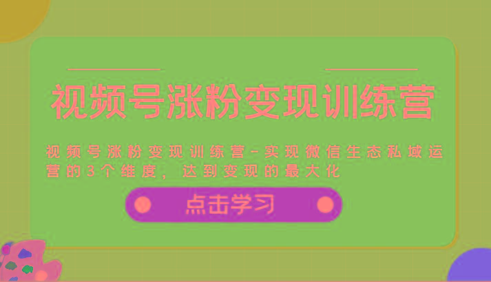 视频号涨粉变现训练营-实现微信生态私域运营的3个维度，达到变现的最大化-kk网创