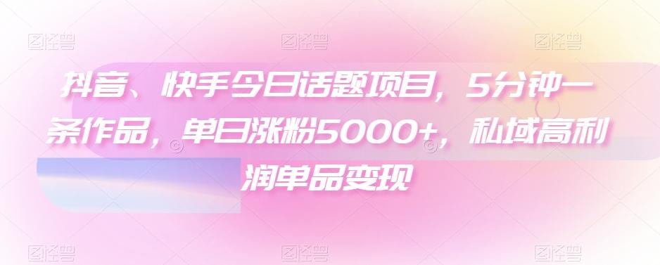 抖音、快手今日话题项目，5分钟一条作品，单日涨粉5000+，私域高利润单品变现-kk网创