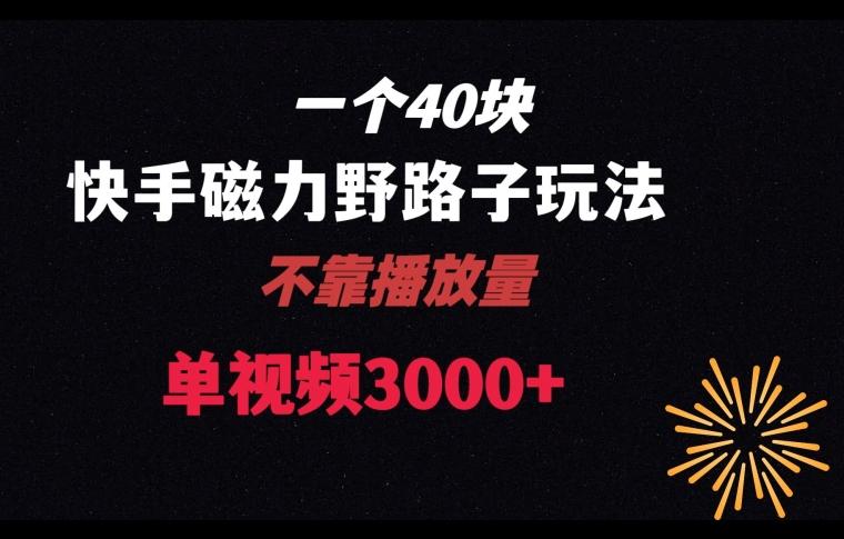 一个40块，快手联合美团磁力新玩法，无视机制野路子玩法，单视频收益4位数【揭秘】-kk网创