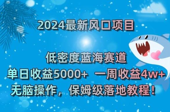 2024最新风口项目，低密度蓝海赛道，单日收益5000+，一周收益4w+！【揭秘】-kk网创