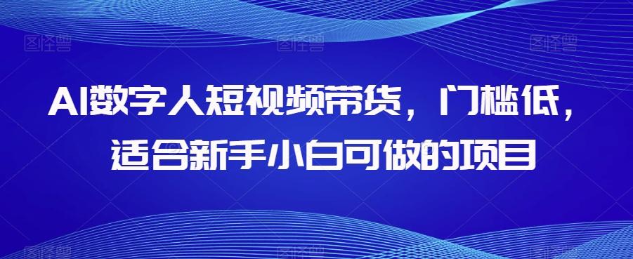 AI数字人短视频带货，门槛低，适合新手小白可做的项目-kk网创
