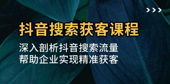 抖音搜索获客课程：深入剖析抖音搜索流量，帮助企业实现精准获客-kk网创