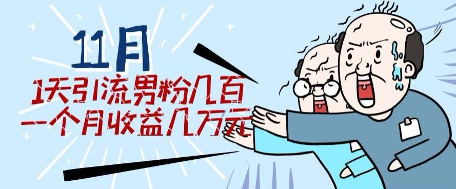 11月最新每天引流男粉300+一个月收益几万元-kk网创