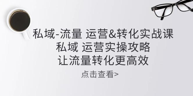 私域-流量 运营&转化实操课：私域 运营实操攻略 让流量转化更高效-kk网创