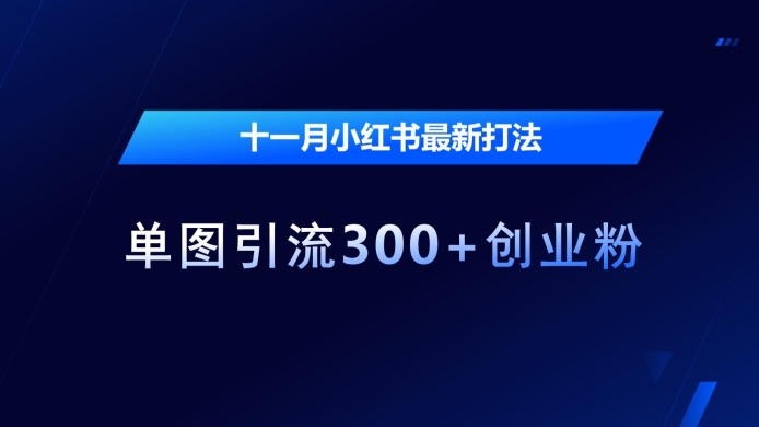 十一月小红书最新打法，单图引流300+创业粉【揭秘】-kk网创