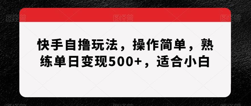 快手自撸玩法，操作简单，熟练单日变现500+，适合小白【揭秘】-kk网创