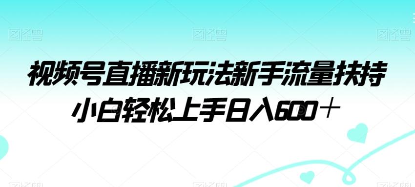 视频号直播新玩法新手流量扶持小白轻松上手日入600＋【揭秘】-kk网创