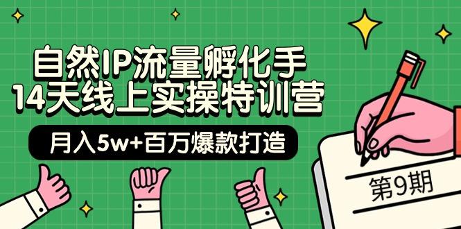 (9881期)自然IP流量孵化手 14天线上实操特训营【第9期】月入5w+百万爆款打造 (74节)-kk网创