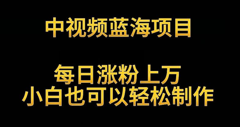 中视频蓝海项目，解读英雄人物生平，每日涨粉上万，小白也可以轻松制作，月入过万不是梦【揭秘】-kk网创
