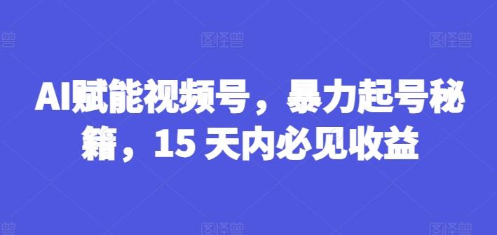 AI赋能视频号，暴力起号秘籍，15 天内必见收益【揭秘】-kk网创