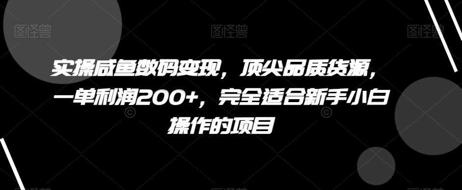 实操咸鱼数码变现，顶尖品质货源，一单利润200+，完全适合新手小白操作的项目【揭秘】-kk网创