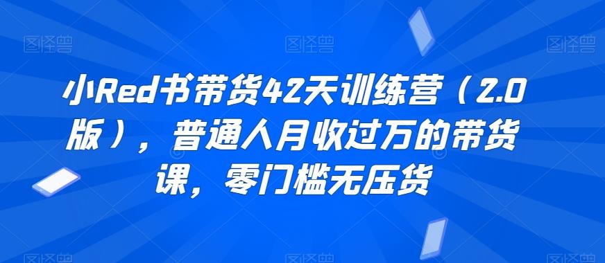 小Red书带货42天训练营(2.0版)，普通人月收过万的带货课，零门槛无压货-kk网创