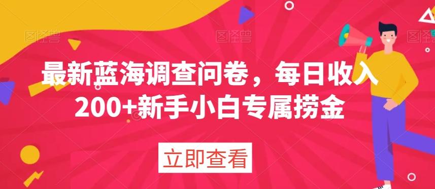 最新蓝海调查问卷，每日收入200+新手小白专属捞金-kk网创
