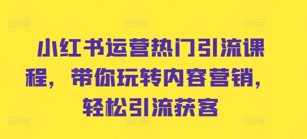 小红书运营热门引流课程，带你玩转内容营销，轻松引流获客-kk网创