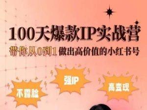 小红书100天爆款IP实战营，带你从0到1做出高价值的小红书号-kk网创