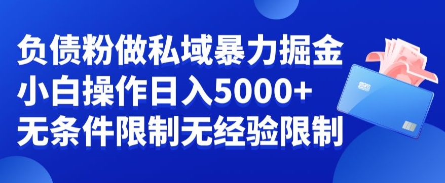 负债粉私域暴力掘金，小白操作入5000，无经验限制，无条件限制【揭秘】-kk网创