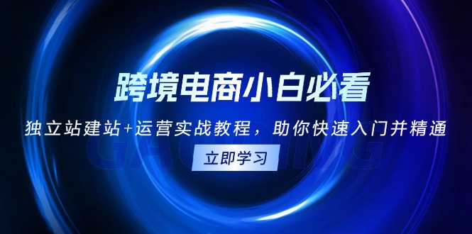 跨境电商小白必看！独立站建站+运营实战教程，助你快速入门并精通-kk网创