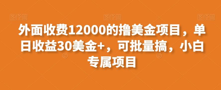 外面收费12000的撸美金项目，单日收益30美金+，可批量搞，小白专属项目-kk网创