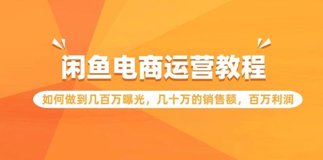 (9560期)闲鱼电商运营教程：如何做到几百万曝光，几十万的销售额，百万利润-kk网创