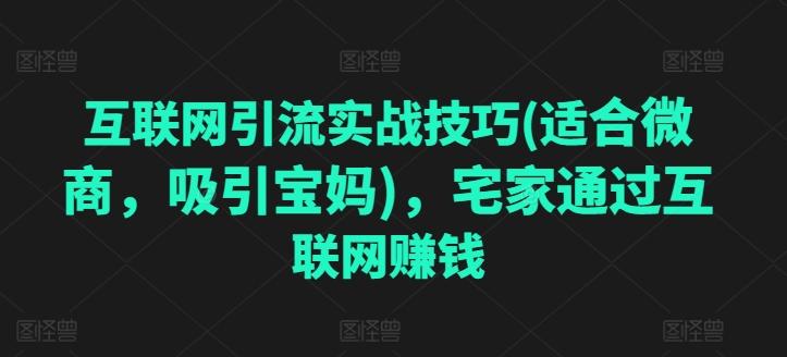 互联网引流实战技巧(适合微商，吸引宝妈)，宅家通过互联网赚钱-kk网创