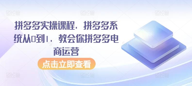 拼多多实操课程，拼多多系统从0到1，教会你拼多多电商运营-kk网创