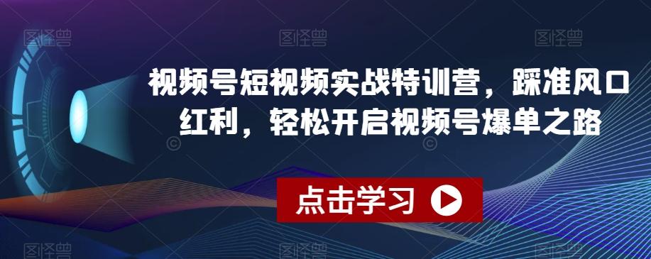 视频号短视频实战特训营，踩准风口红利，轻松开启视频号爆单之路-kk网创