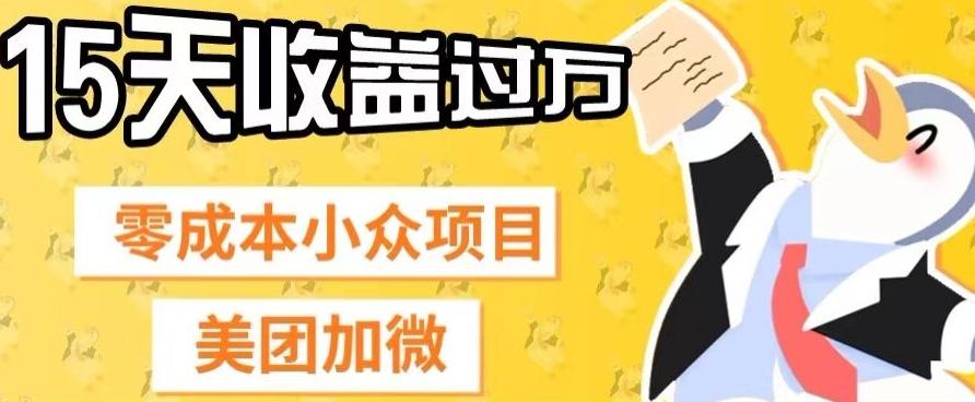 零成本小众项目，美团加微，一单4.5+，15天已经有人赚上万收益-kk网创