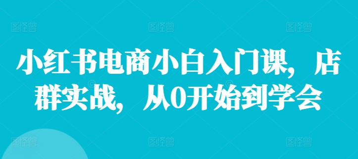 小红书电商小白入门课，店群实战，从0开始到学会-kk网创