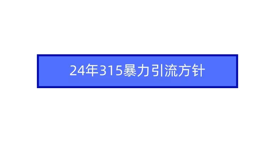 (9398期)2024年315暴力引流方针-kk网创
