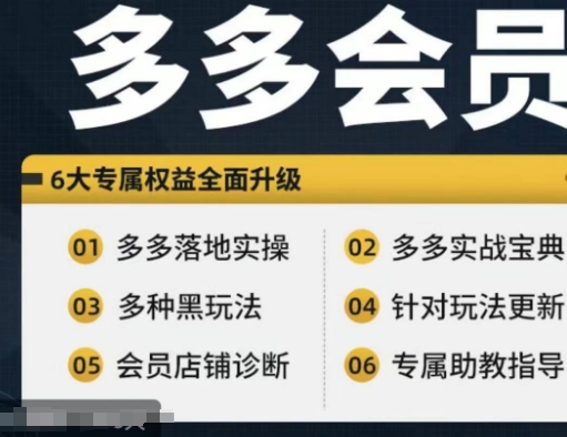 拼多多会员，拼多多实战宝典+实战落地实操，从新手到高阶内容全面覆盖-kk网创