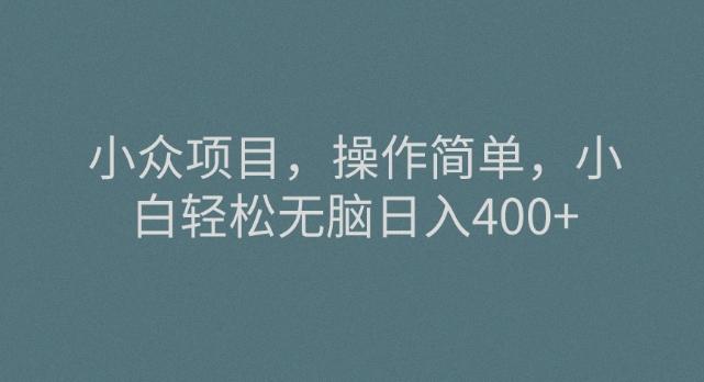 小众项目，操作简单，小白轻松无脑日入400+-kk网创