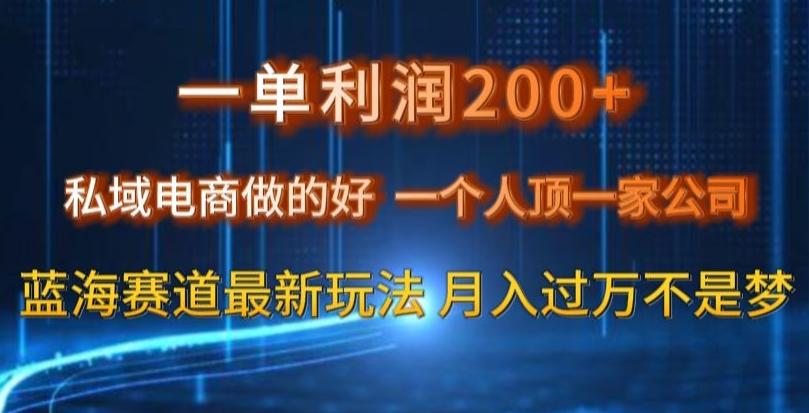 一单利润200私域电商做的好，一个人顶一家公司蓝海赛道最新玩法【揭秘】-kk网创