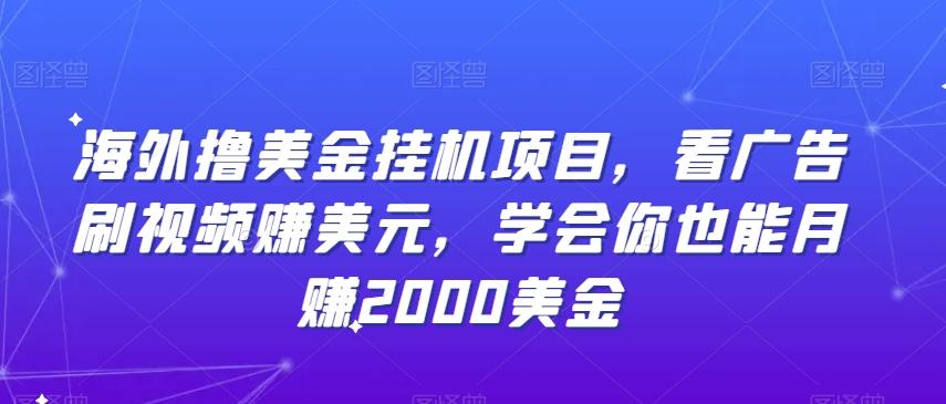 海外撸美金挂机项目，看广告刷视频赚美元，学会你也能月赚2000美金-kk网创