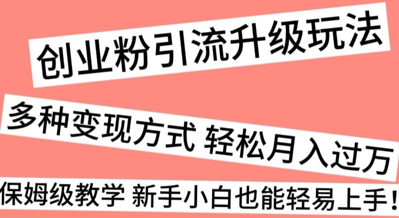 创业粉引流升级玩法，多种变现方式轻松月入过万，保姆级教学新手小白也能轻易上手！-kk网创