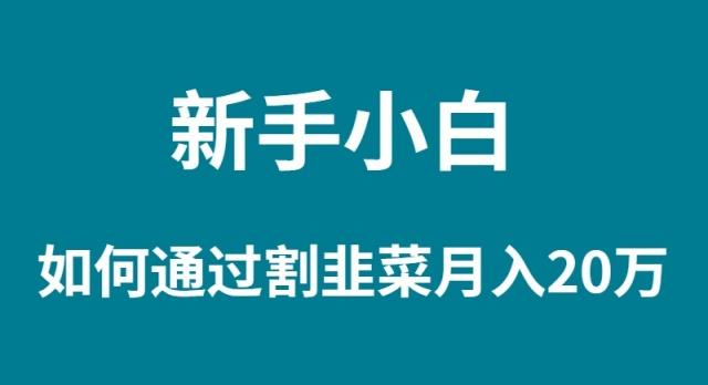 (9308期)新手小白如何通过割韭菜月入 20W-kk网创