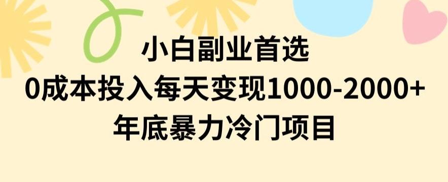 小白副业首选，0成本投入，每天变现1000-2000年底暴力冷门项目【揭秘】-kk网创