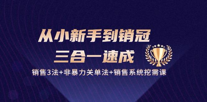 从小新手到销冠 三合一速成：销售3法+非暴力关单法+销售系统挖需课 (27节-kk网创