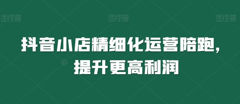 抖音小店精细化运营陪跑，提升更高利润-kk网创