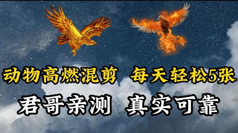 动物超燃混剪，每天轻松5张，剪辑简单大家爱看【揭秘】-kk网创