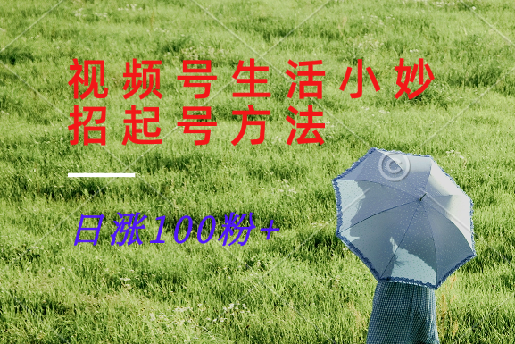 视频号生活小妙招分享赛道， 起号涨粉新方法，日涨100粉-kk网创