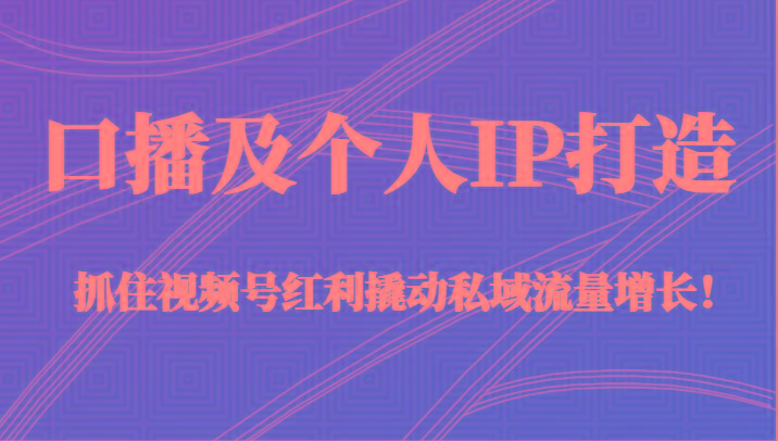 口播及个人IP打造，抓住视频号红利撬动私域流量增长！（45节课）-kk网创