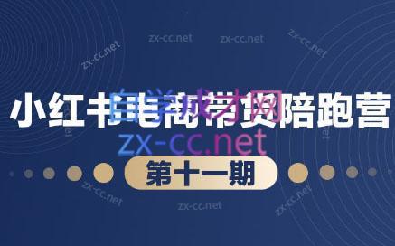 盗坤·小红书电商带货陪跑营(第十一期)-kk网创