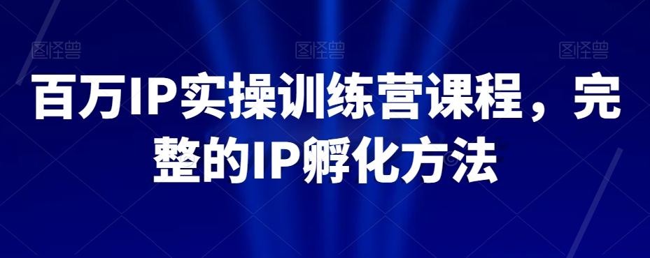 百万IP实操训练营课程，完整的IP孵化方法-kk网创