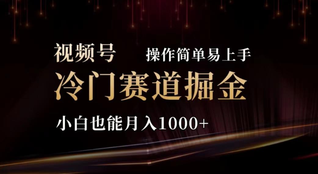 2024视频号冷门赛道掘金，操作简单轻松上手，小白也能月入1000+-kk网创