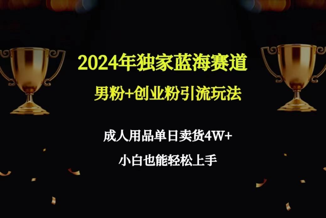 2024年独家蓝海赛道男粉+创业粉引流玩法，成人用品单日卖货4W+保姆教程-kk网创