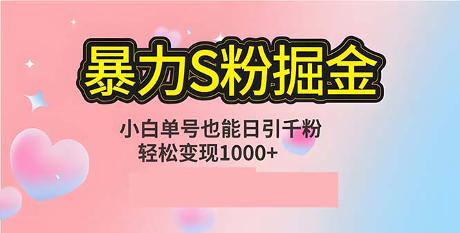 单人单机日引千粉，变现1000+，S粉流量掘金计划攻略-kk网创