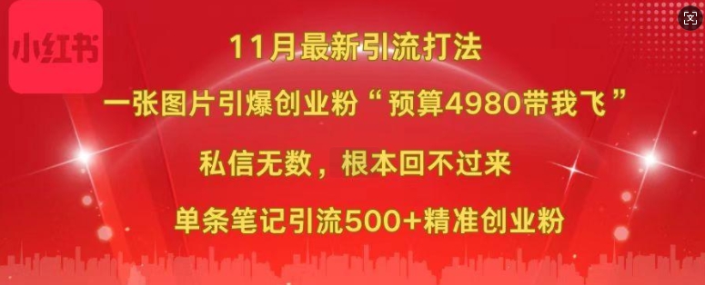 小红书11月最新图片打粉，一张图片引爆创业粉，“预算4980带我飞”，单条引流500+精准创业粉-kk网创
