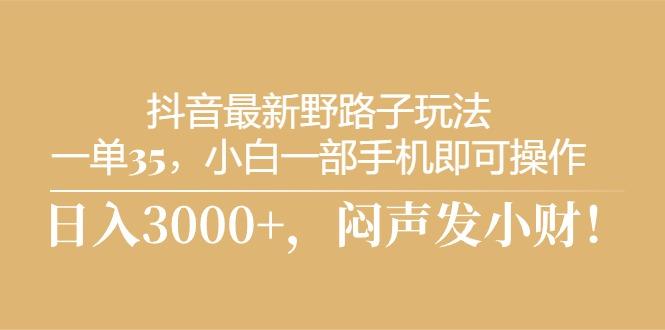 抖音最新野路子玩法，一单35，小白一部手机即可操作，，日入3000+，闷…-kk网创